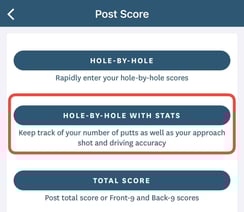hole by hole stats